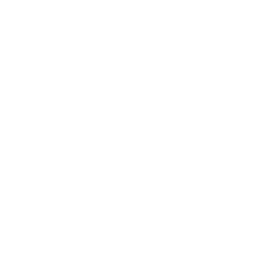 Our Team Button